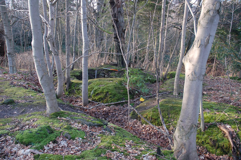 Survey of World War I training trenches at Dreghorn