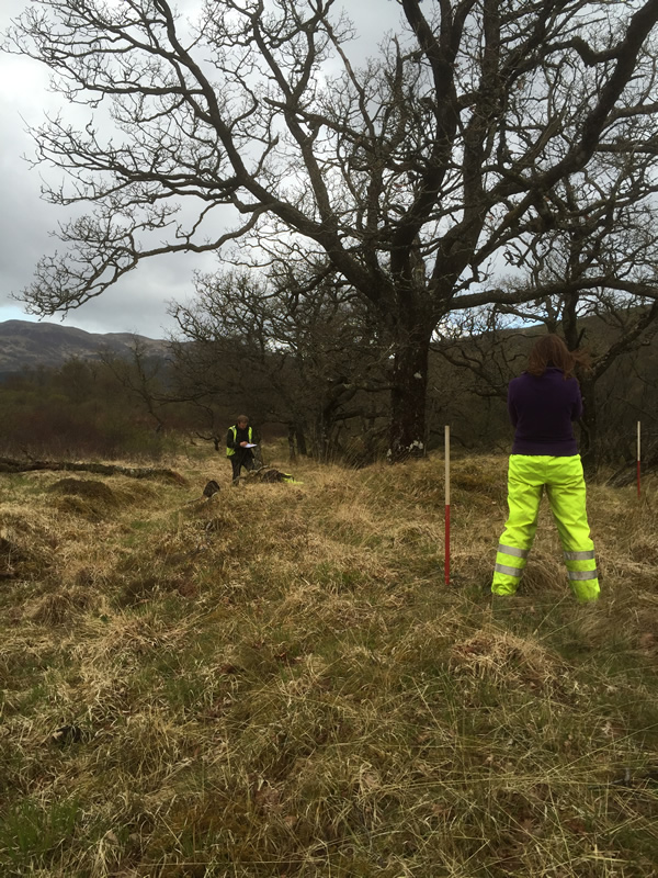 Training survey of a bloomery mound on the Tamheich Burn, Cowal © GUARD Archaeology Ltd.