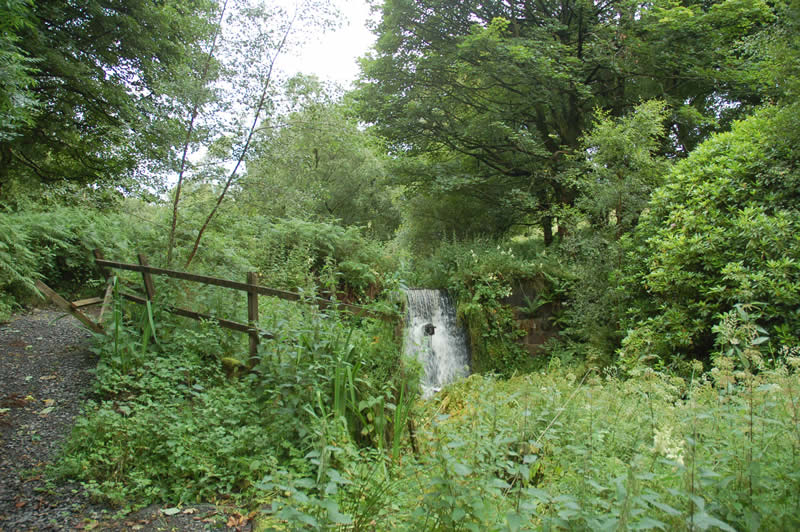 Upper Cascade at Semple before conservation