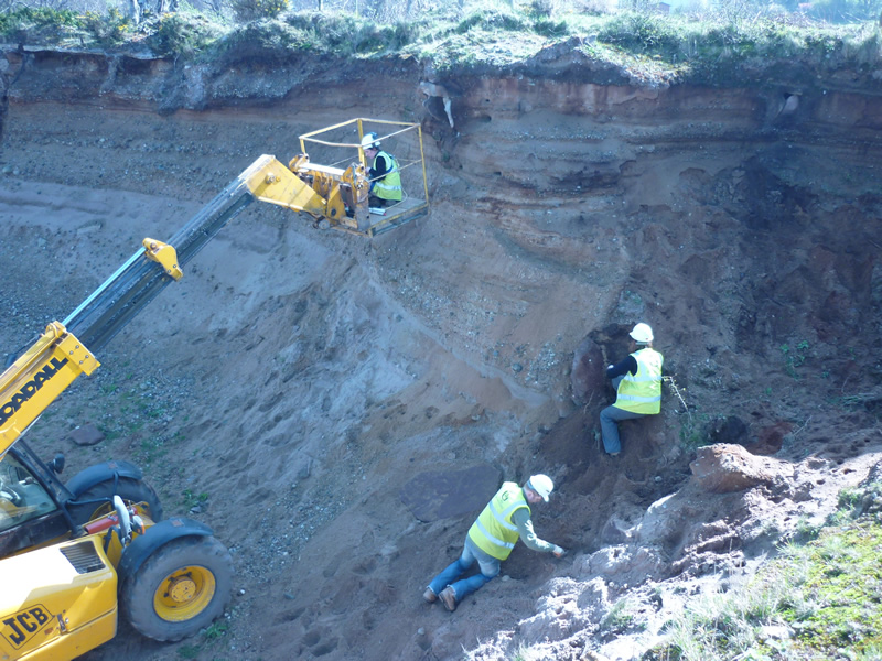 General picture of the site prior to archaeological work commencing