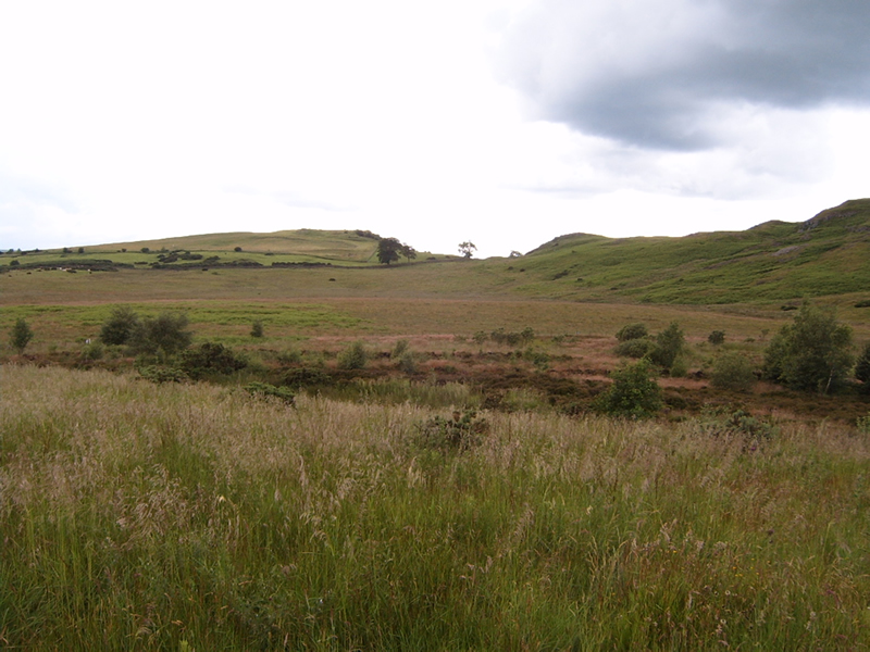 Ravelrig Bog