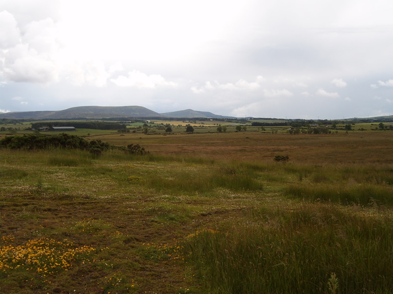 Ravelrig Bog