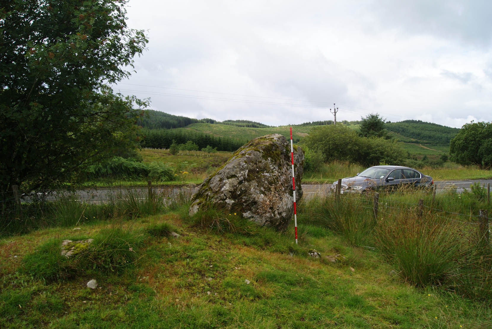 Cailleach Glas (grey old woman)