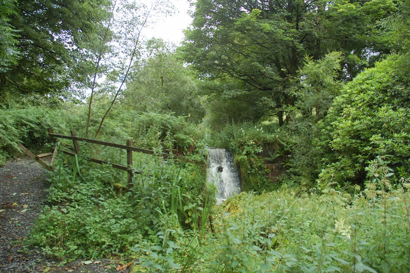 Upper Cascade at Semple before conservation © GUARD Archaeology Ltd