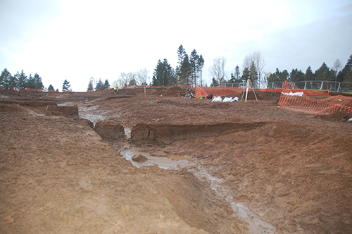 Thirlestane Barrows