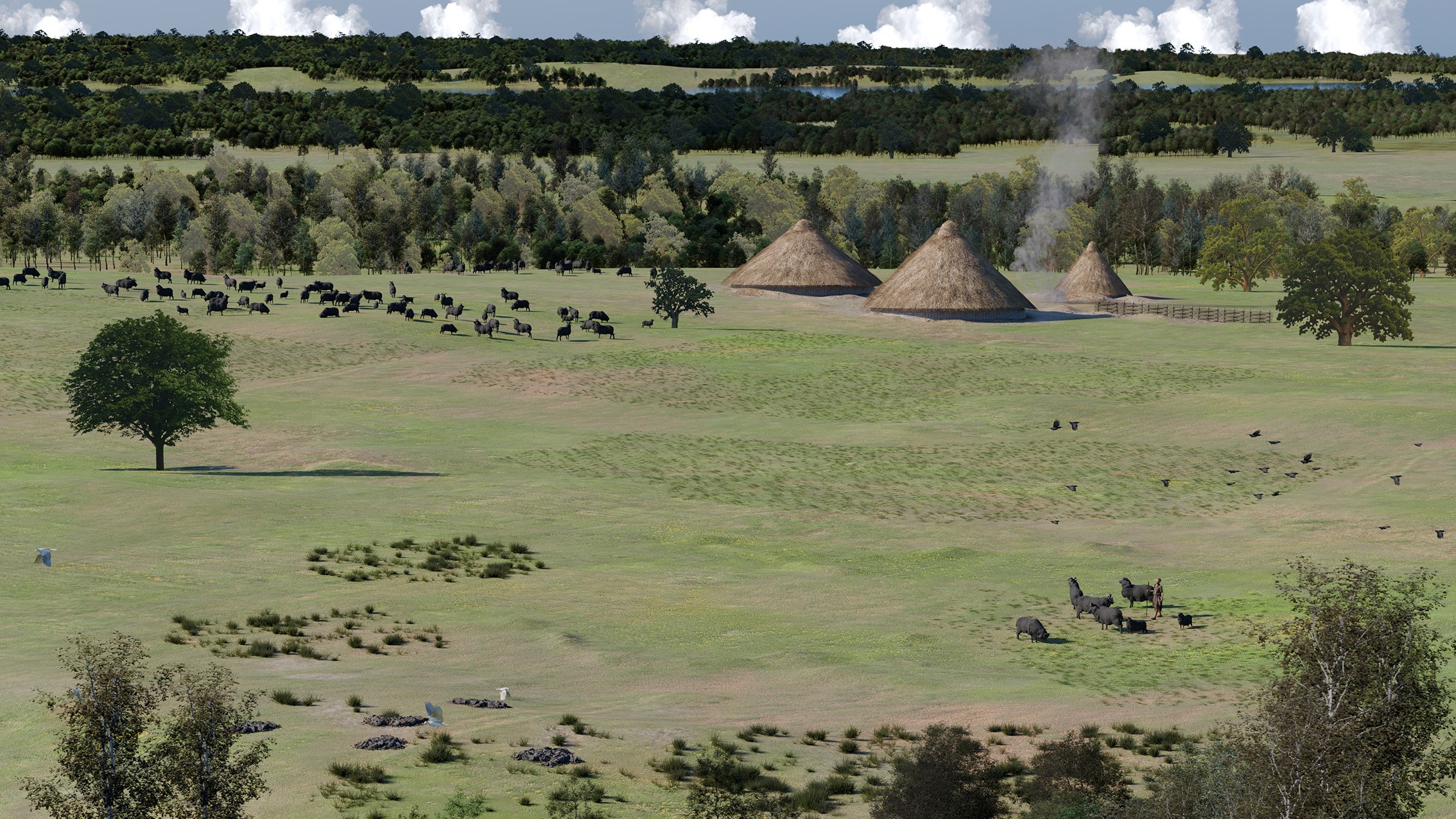 Long Lost Bronze Age Settlement revealed at Erskine